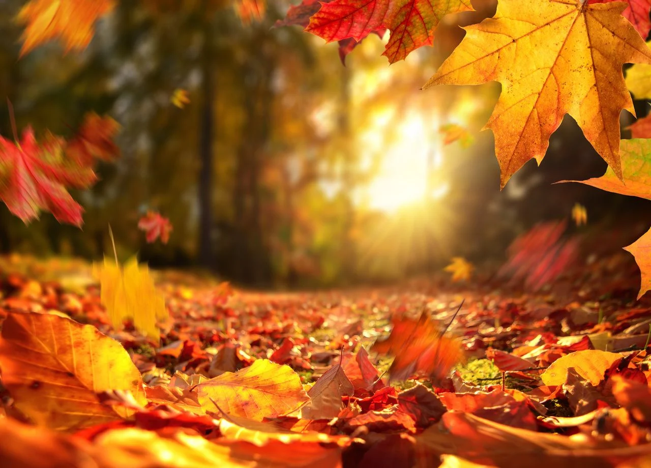 Couleur d'automne